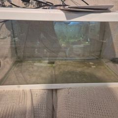 fish tanks