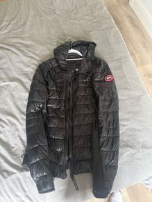 Canada goose hybridge