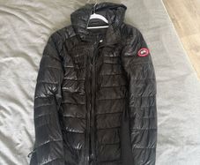 Canada goose hybridge
