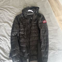 Canada goose hybridge