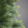 7ft Grand Fir Christmas tree Image 2