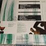 Those Nervous Animals, Hyperspace LP,  Irish Indie Rock Image 2