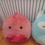 Original squishmallows and ty soft teddybear Image 2