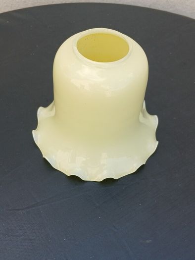 Vintage Lamp Shade