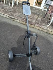 Golf Cart 2 Wheel
