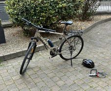 Trek Dual Sport 2 XL + Full Service PreSale