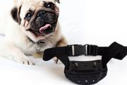Anti Bark No Barking Remote Electric Shock Vibration Dog Pet Training Collar