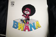 Bwana - Self Titled LP Reissue Latin Prog Psych