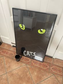 Vintage Cats The Musical 1990 Framed Poster, The Point Dublin Entrance Ticket and Mug