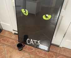Vintage Cats The Musical 1990 Framed Poster, The Point Dublin Entrance Ticket and Mug