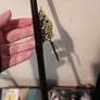 8ft kinetic witcher combo spinning rod+free lure Image 6