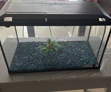 Aquarium 10 Gallon