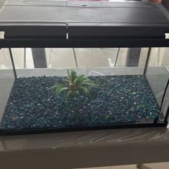 Aquarium 10 Gallon