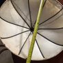 Lampshades X 2 Image 6