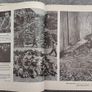 The Best Of Life Book Image 2