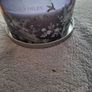 Laura Ashley 70th Anniversary Royal Bloom Triple Scented Candle .. Price Drop Image 8