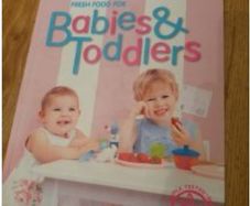 Baby and Toddler Food Book