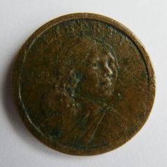 Sacagawea Native American Dollar Coin