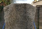 Rug/carpet (used)