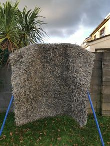 Rug/carpet (used)