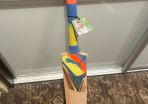 cricket bat