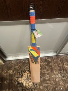 cricket bat