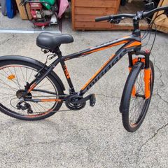 Bik