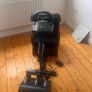 gaming chair Image 4