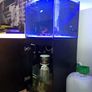 Fish tank Image 4