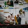 The Guinness Book of Records 1999 and Guinness World Records 2008 Image 3