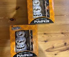 Pumpkin painting kit x2