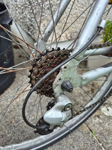 Mountain bike