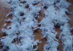 Feather Boa for Girls that Party