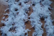 Feather Boa for Girls that Party