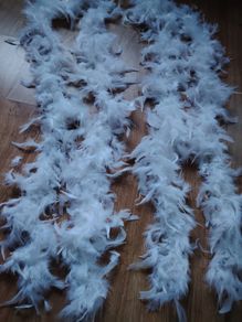 Feather Boa for Girls that Party