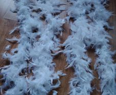 Feather Boa for Girls that Party
