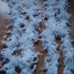 Feather Boa for Girls that Party
