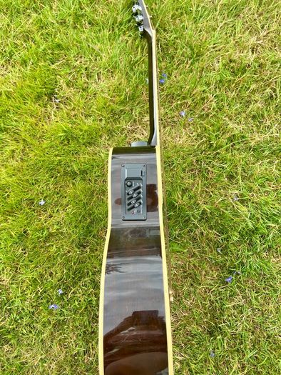 Harley benton guitar