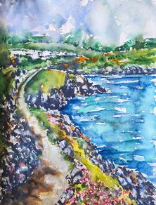 glen beach cliff walk Wicklow watercolour