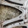 BMW MV2 alloys Image 3