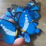 10 x blue butterflies magnetic stickers Image 2