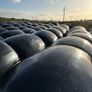 2026 Silage bales Image 3