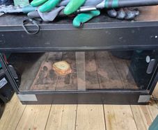 2ft Reptile Tank