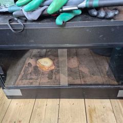 2ft Reptile Tank