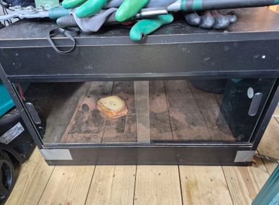 2ft Reptile Tank