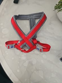 Dog Harness