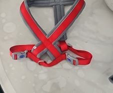 Dog Harness