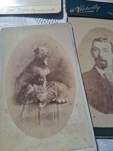 42 X Irish Victorian and Edwardian Studio Portrait Photos