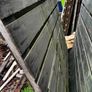 Hit & Miss Fence Panels Image 3