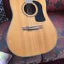 Washburn Image 7